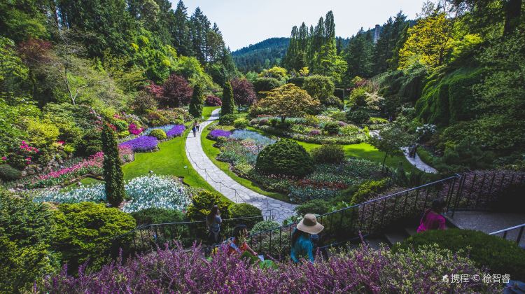 【Winter Tour】3-Day Vancouver & Victoria Tour·BC Ferry, The Butchart Gardens, Chinatown Victoria and Victoria Inner Harbour | 1 Free Day
