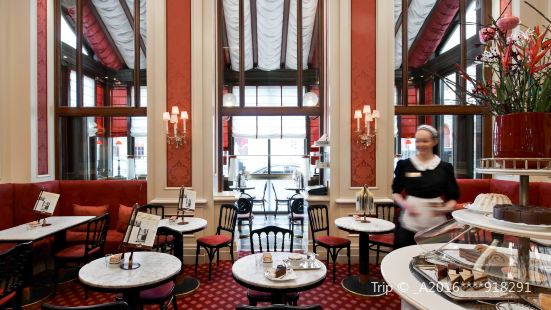 Cafe Sacher Vienna