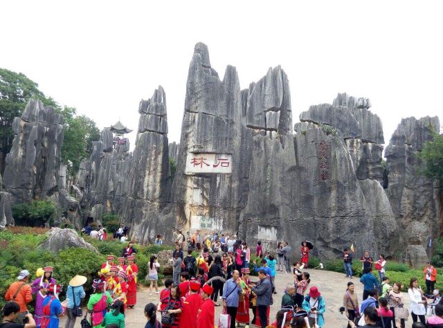 Stone Forest