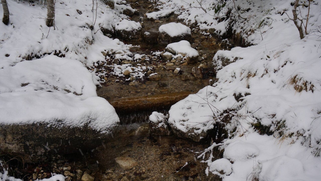 雪中探访林德霍夫宫