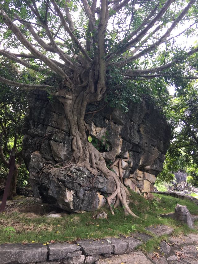 Shijinglin Sceneic Area