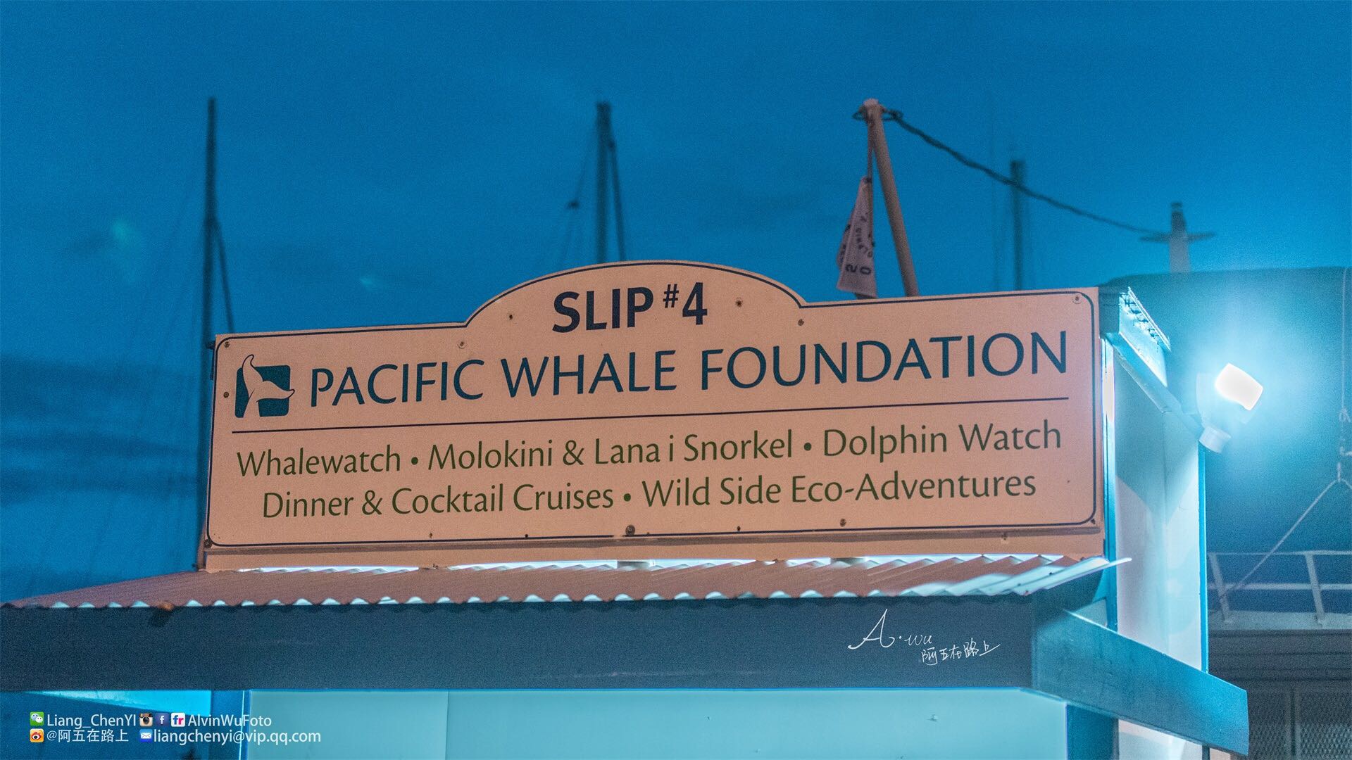 全夏威夷公认的最佳观鲸地点
