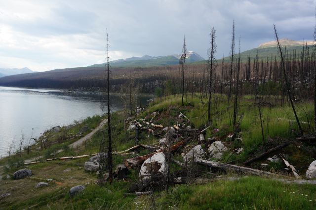 Medicine Lake