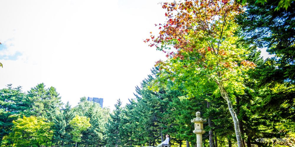 札幌中島公園 札幌中島公園旅遊攻略簡介當地玩樂門票酒店一覽 永安旅遊