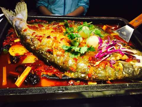 江城鲈鱼·烤鱼龙虾烧烤(乐尚城市广场店)