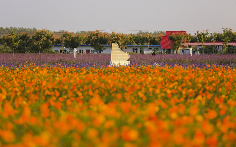 2-Day Huaibei Tour: Explore Yutang Yunhe Ancient Town, Tranquility of Nanhu Wetland Park