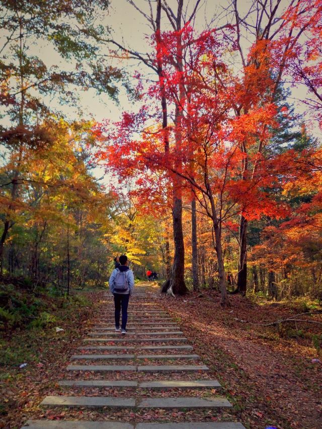 蛟河紅葉谷