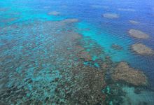 摩尔外堡礁景点图片