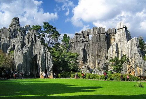 Stone Forest