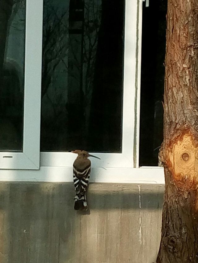 황금강 리조트