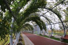 宁波植物园-宁波-SHUXIANBAI