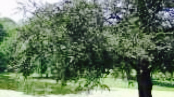 Bulls Bridge Inn餐厅图片