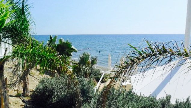 Chesters Bar餐厅图片