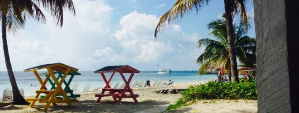 Taino by the Sea餐厅图片