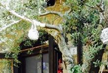 L'Antica Corte美食图片