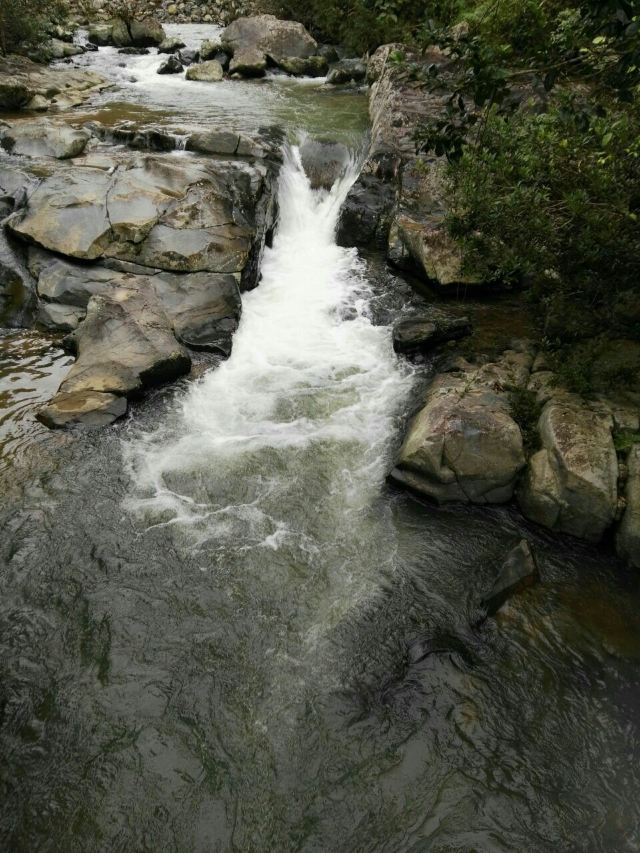 Wuzhishan Tropical Rainforest