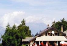 Chez Simon美食图片