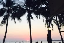 Darwin Sailing Club Waterfront Bistro美食图片