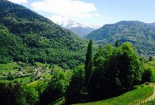 Ferme Auberge du Bessard美食图片