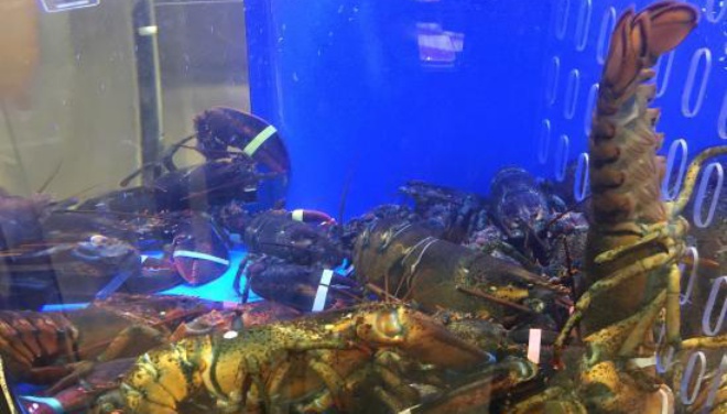 Wegmans Market Cafe餐厅图片