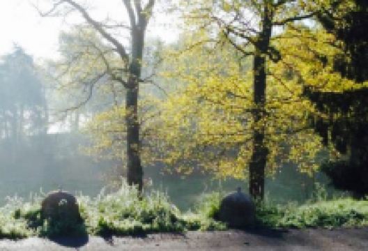 Lago Spina Ristorante美食图片