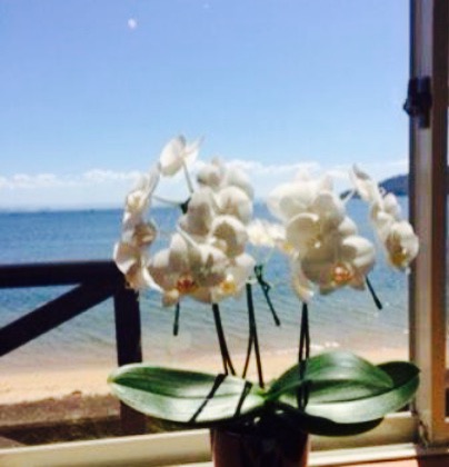 Italian Dining Trattoria Giro