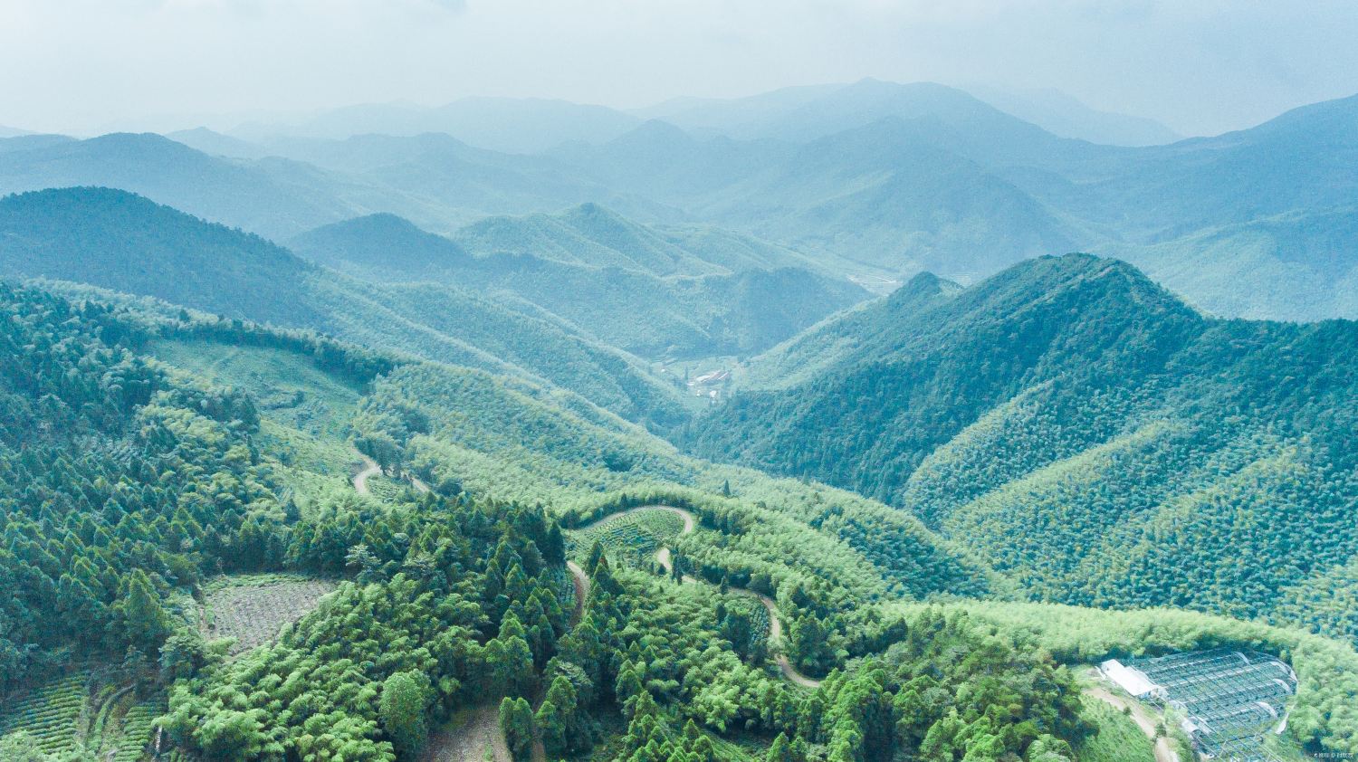华顶国家森林公园