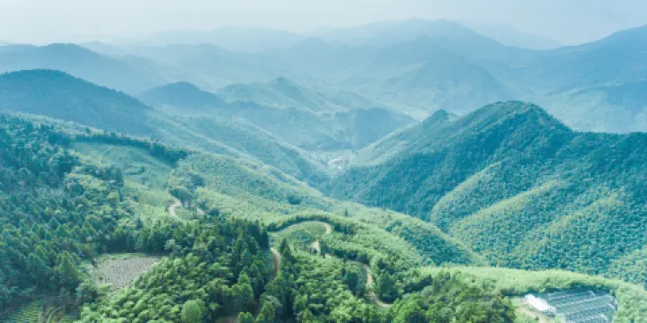 華頂國家森林公園