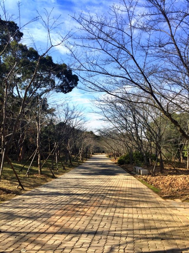 원두저(위안터우주)