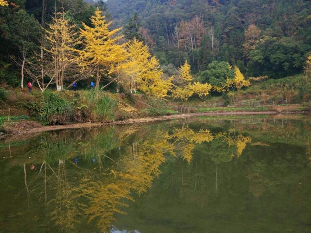 마오쯔펑 린창
