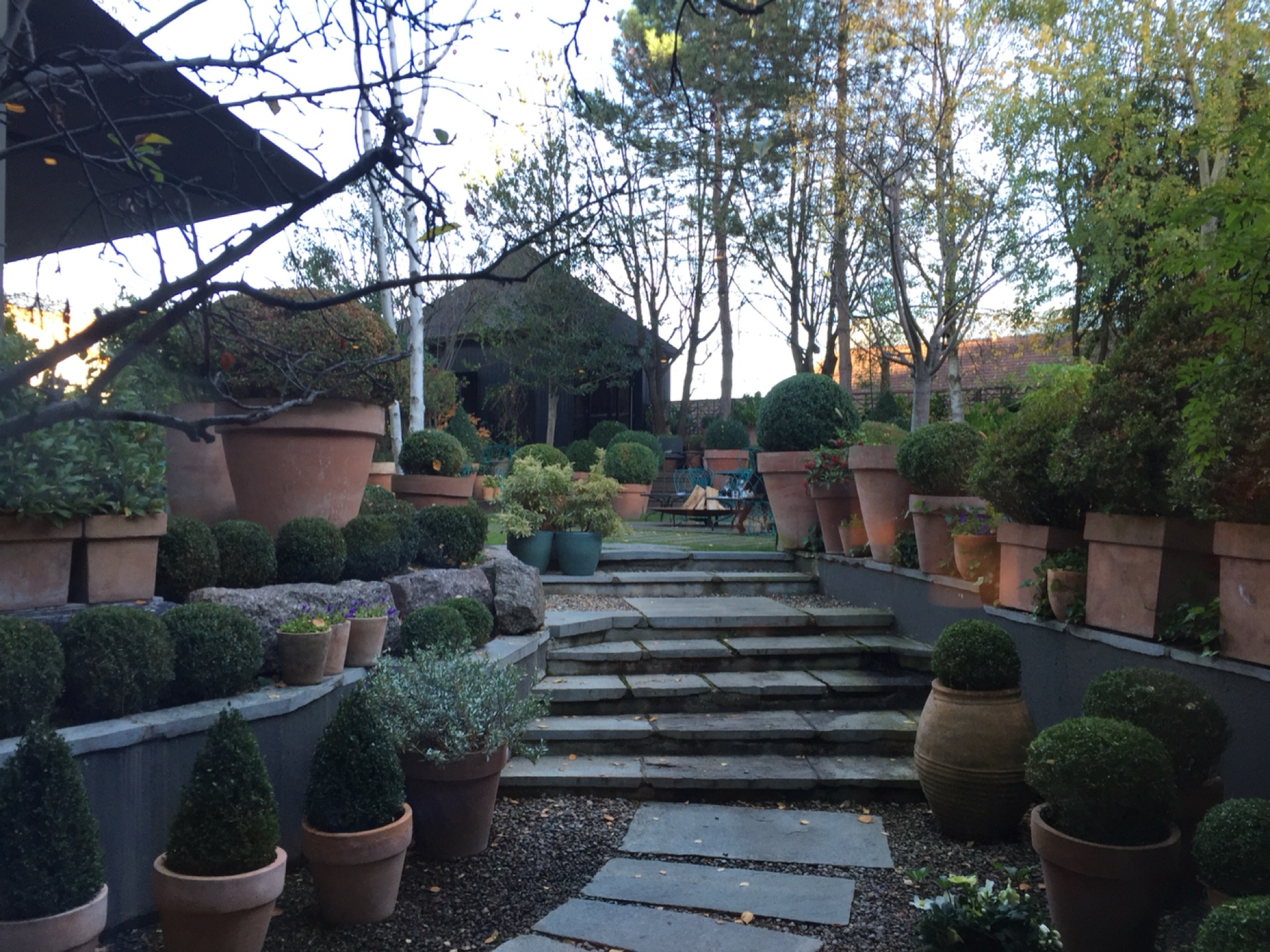 Troisgros餐厅图片