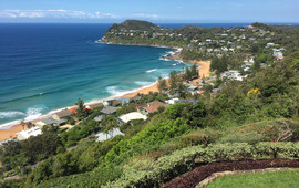 Jonah's Whale Beach