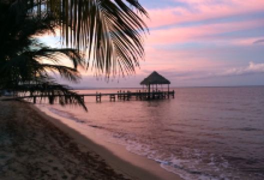 Chef Rob's Gourmet Cafe美食图片