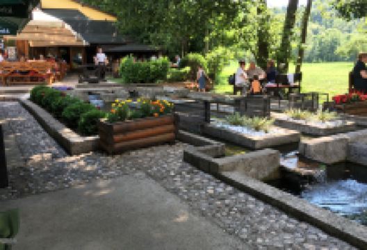 Restaurant Toplik美食图片