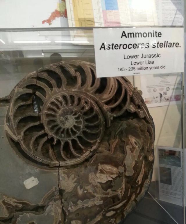 World Museum Liverpool