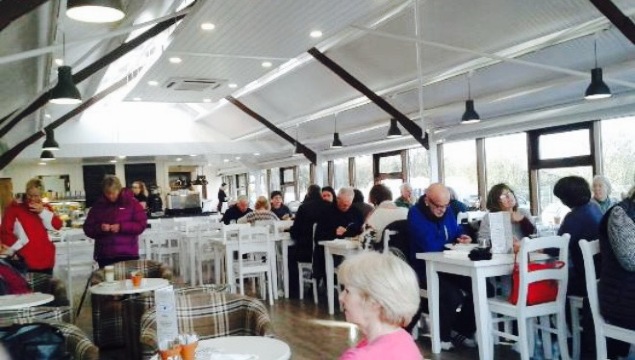 Seed Room餐厅图片