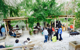 Restaurant Destileria Pisco Mistral