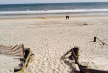 Cupsogue Beach Hut美食图片