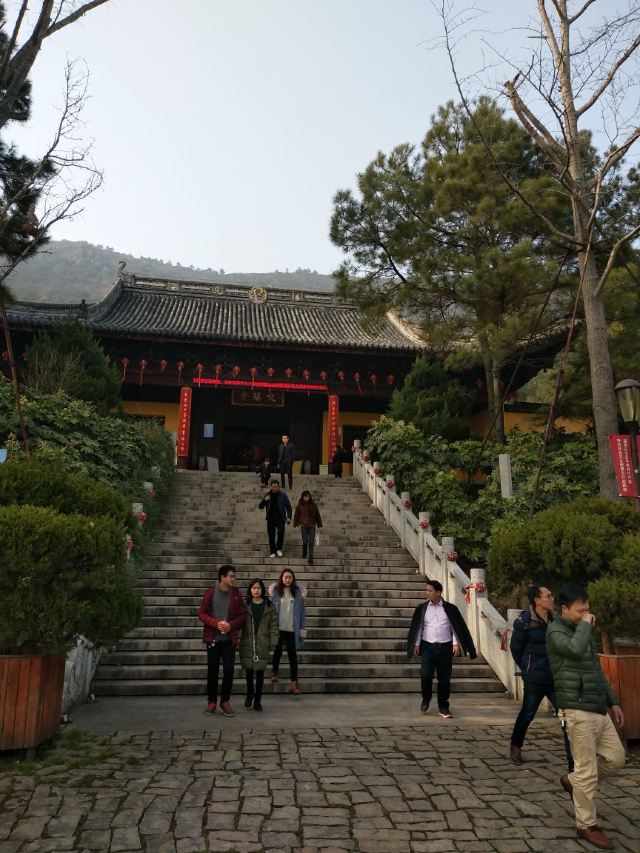 Dayangshan National Forest Park