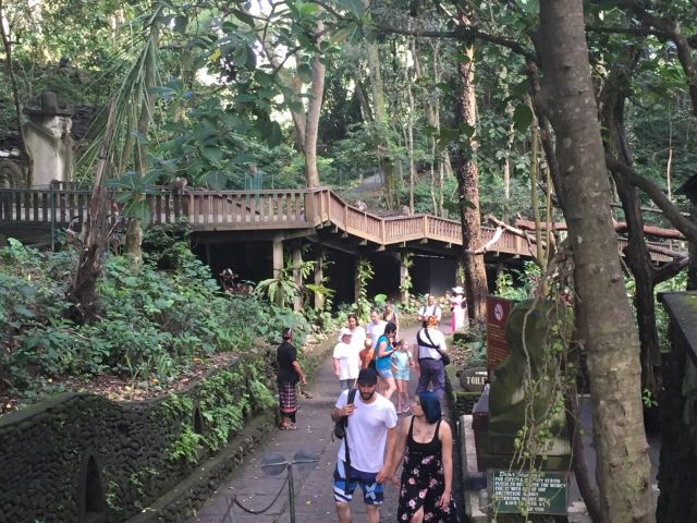 Ubud Monkey Forest