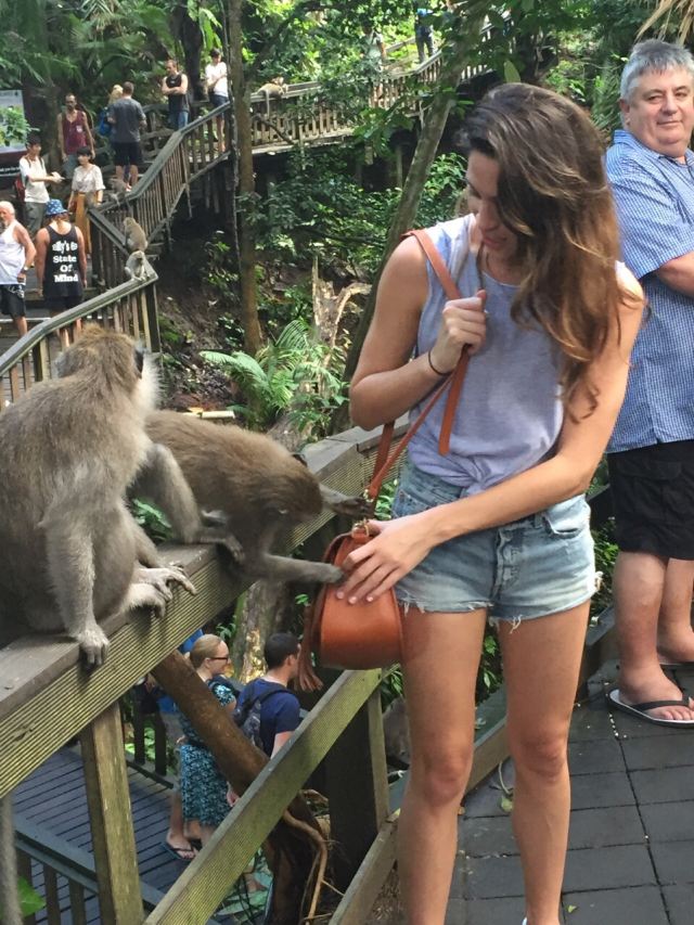 Ubud Monkey Forest