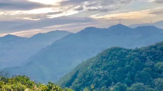 田頭山