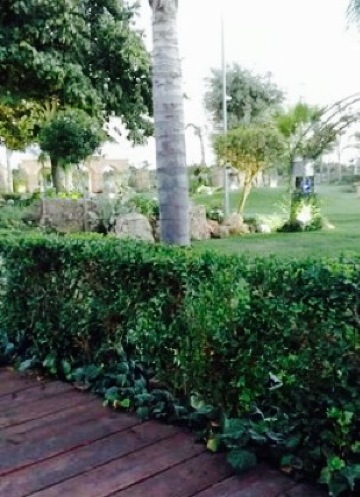 Villa dei Desideri餐厅图片