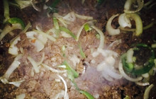 Rita's Famous Tacos 2餐厅图片