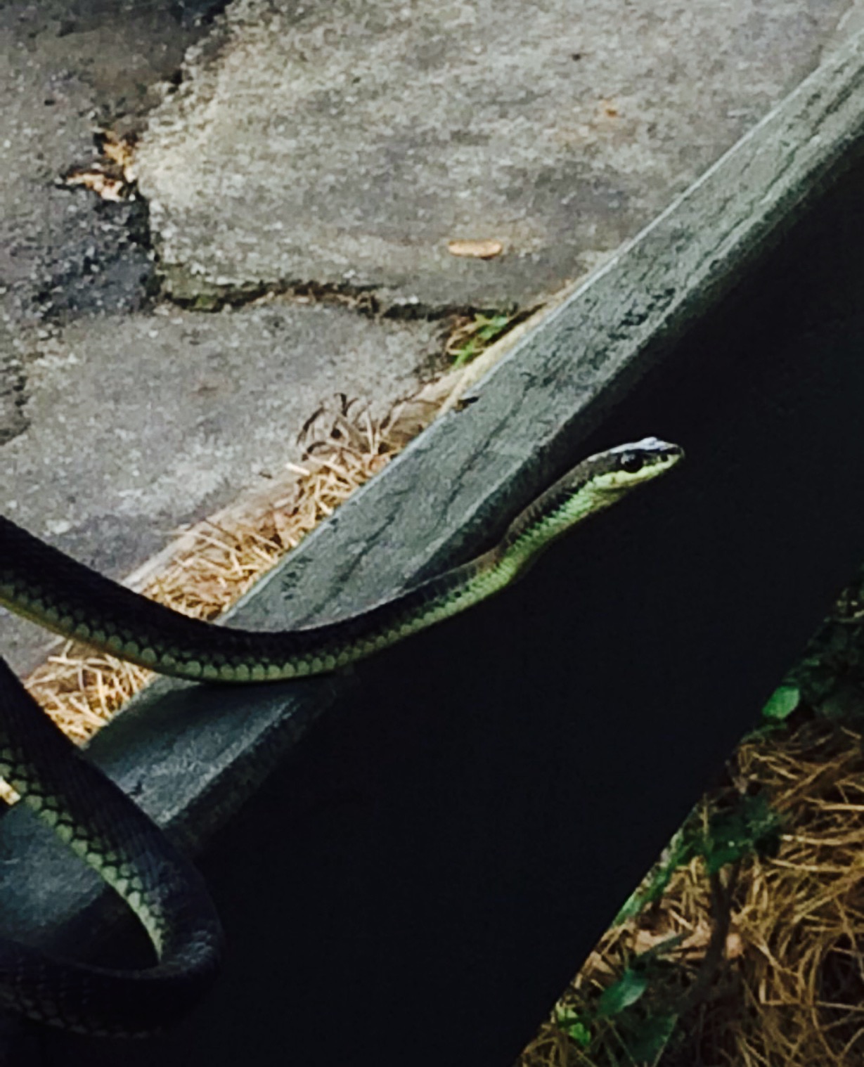 Byfield General Store餐厅图片