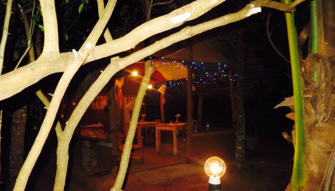 Just Natural餐厅图片