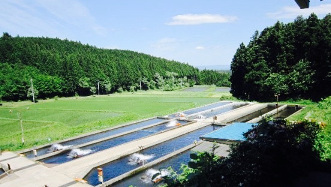 Konseigawa No Masuike