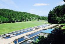 Konseigawa No Masuike美食图片