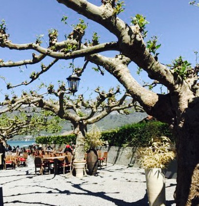 Le Poisson Rouge餐厅图片