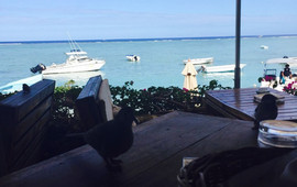 The Bay Restaurant